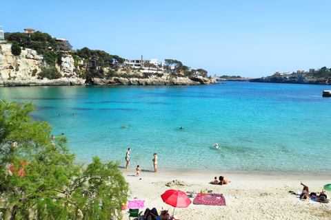 Drach Caves and Palma or Beach Retreat – Full-Day Tour