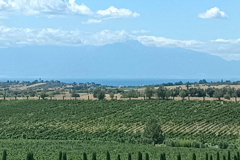 Thessaloniki:Where Fine Wines Meet Breathtaking Horizons