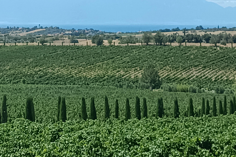 Thessaloniki:Where Fine Wines Meet Breathtaking Horizons