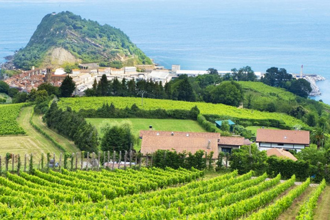 San Sebastián rural culture: vineyard visit and farm hiking