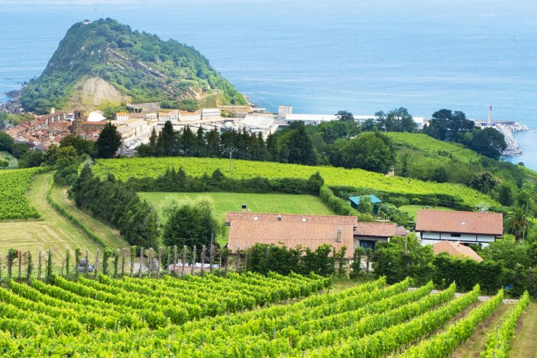 San Sebastián rural culture: vineyard visit and farm hiking