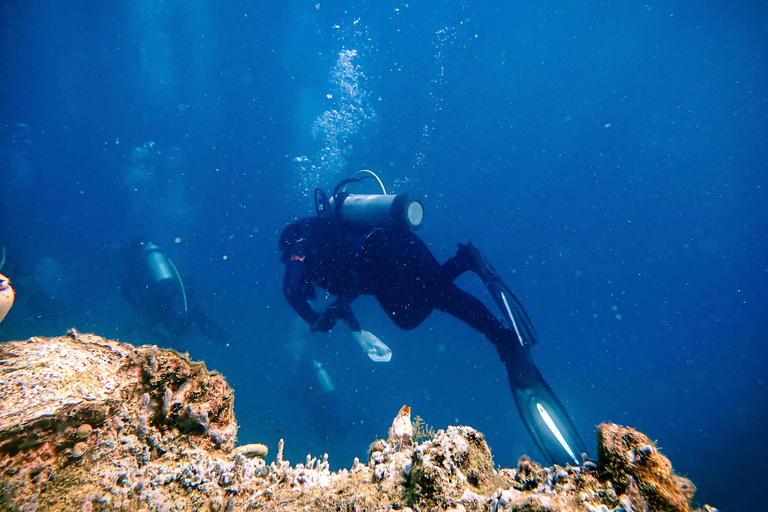 Diving Budva: 2-Tank Scuba Diving Tour for Certified Divers