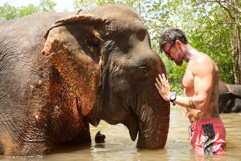 Krabi: Elephant Bathing Session at Krabi Elephant Shelter