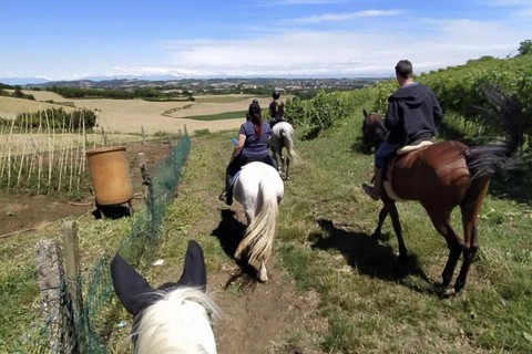 Monferrato: Horseback Riding in Nature with Lunch at a Farmhouse