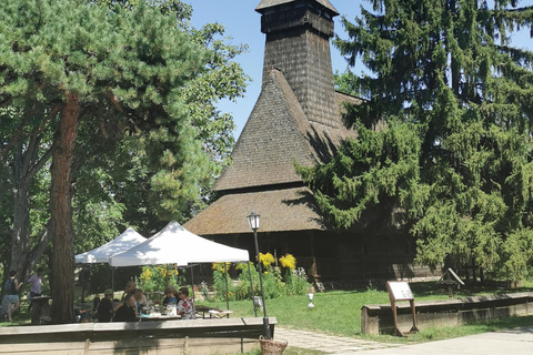 Panoramische tour door Boekarest met drie stops en twee bezoeken.