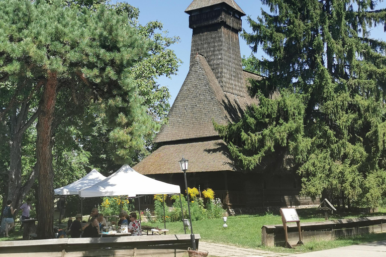 Panoramische tour door Boekarest met drie stops en twee bezoeken.