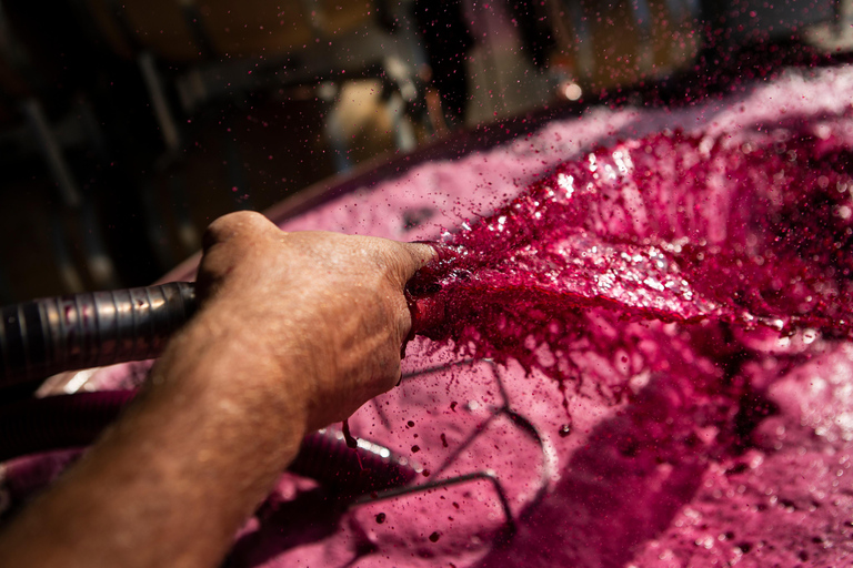 Barossa Shiraz Barrel Tasting with Winemaker at Gibson Wines
