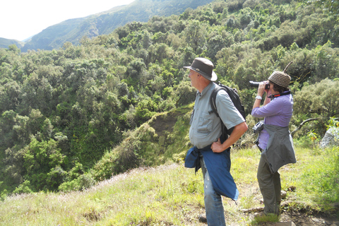 Simien Mountains Tagestour: Wildtierbeobachtung, Wandertour