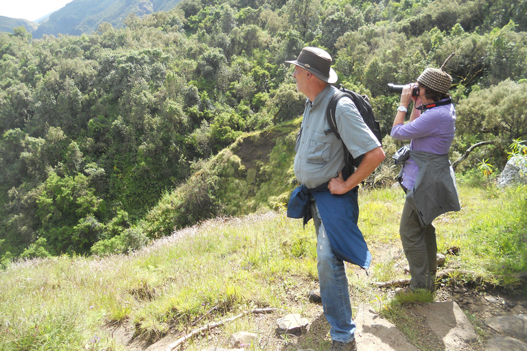 Simien Mountains Tagestour: Wildtierbeobachtung, Wandertour