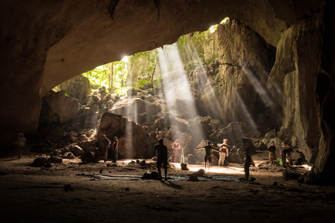 Taman Negara Private Tour