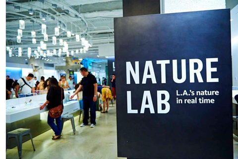 Natural History Museum LA: Entry + Fierce! The Story of Cats Fierce! The Story of Cats Special Exhibition - Weekends