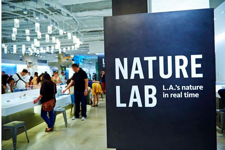 Natural History Museum LA: Entry + Fierce! The Story of Cats Fierce! The Story of Cats Special Exhibition - Weekends