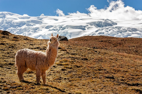 4-Day Ausangate Trek: 7 Lakes, Rainbow Mountain & Red Valley