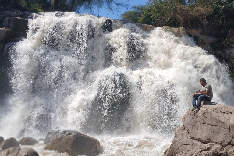 "Doświadczenie safari w Parku Narodowym Awash"