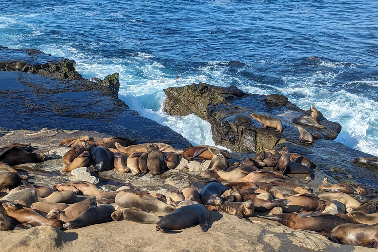 Wycieczka na rowerze elektrycznym SoCal Riviera po La Jolla i Mount Soledad