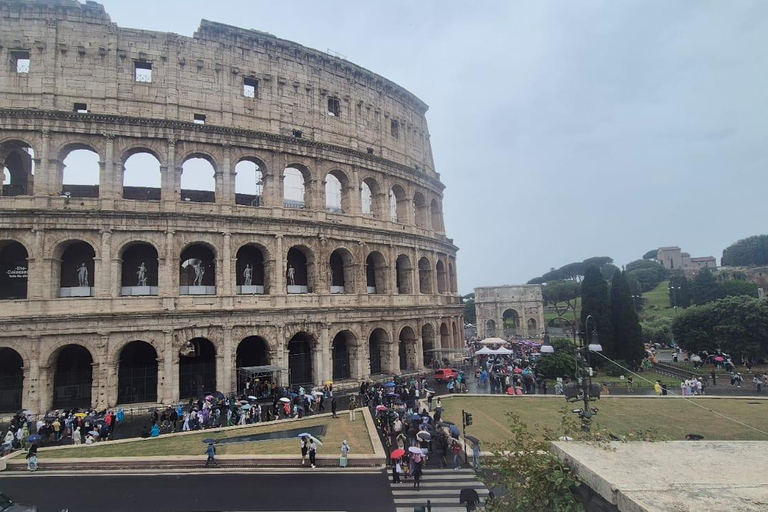 Small Group Guided Tour Colosseum Roman Forum, Palatine Hill Standard Tickets