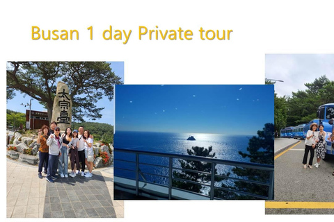 Tour privato di Busan con guida autorizzataGuida turistica in lingua inglese