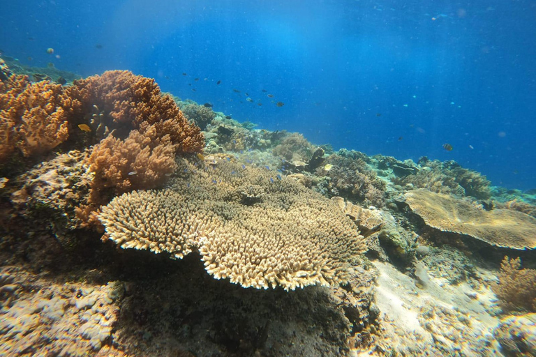 Isla Gili : Excursión privada de snorkel 3 Isla Gili + GOPRO