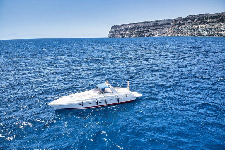 Puerto de Mogán: yacht privato per un massimo di 10 persone