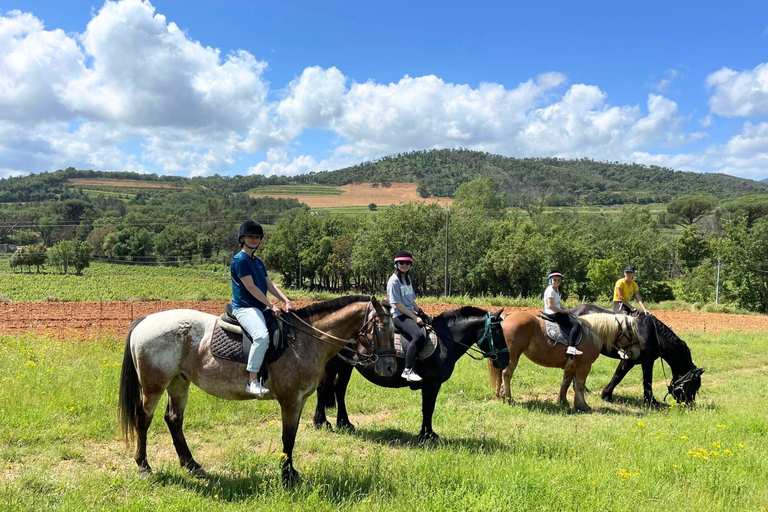 Grimaud: Horseback Riding & Wine Tasting in Maures Forest Horse back riding + wine tasting in the Maures Forest