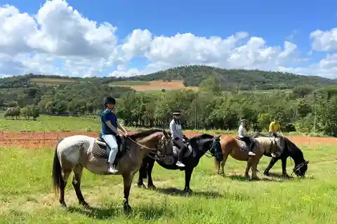 Grimaud: Reiten & Weinverkostung im Wald von Maures