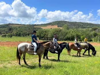 Grimaud: Horseback Riding & Wine Tasting in Maures Forest