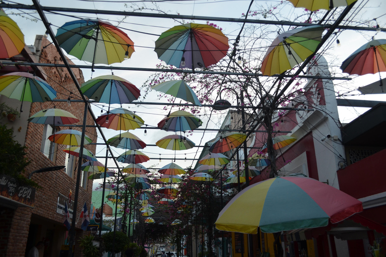 Puerto Plata: passeio cultural com degustação de rum e charutosPuerto Plata: tour cultural com degustação de rum e charutos