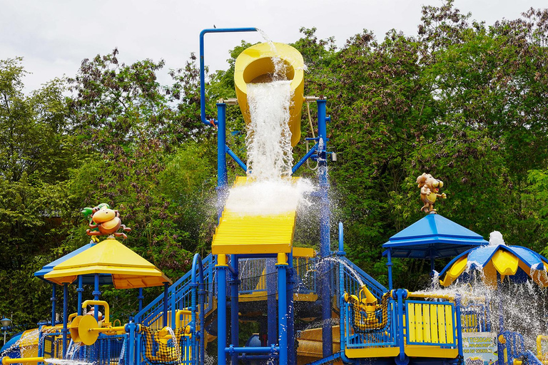 From Bogotá: Dive into Fun at Piscilago Water Park!