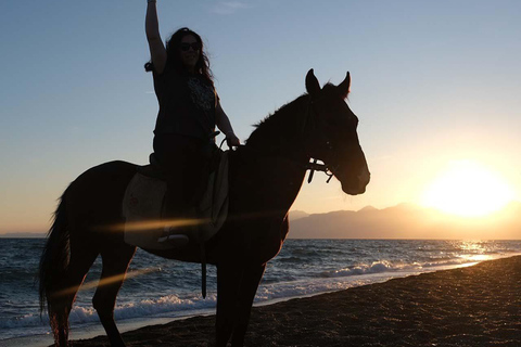 Antalya : équitation en bord de mer et dans la forêtAntalya : Balade à cheval en bord de mer et en forêt