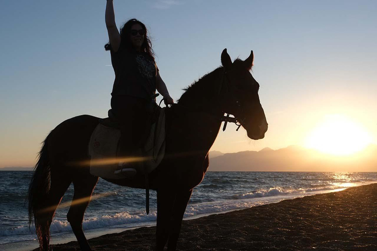 Antalya : équitation en bord de mer et dans la forêtAntalya : Balade à cheval en bord de mer et en forêt