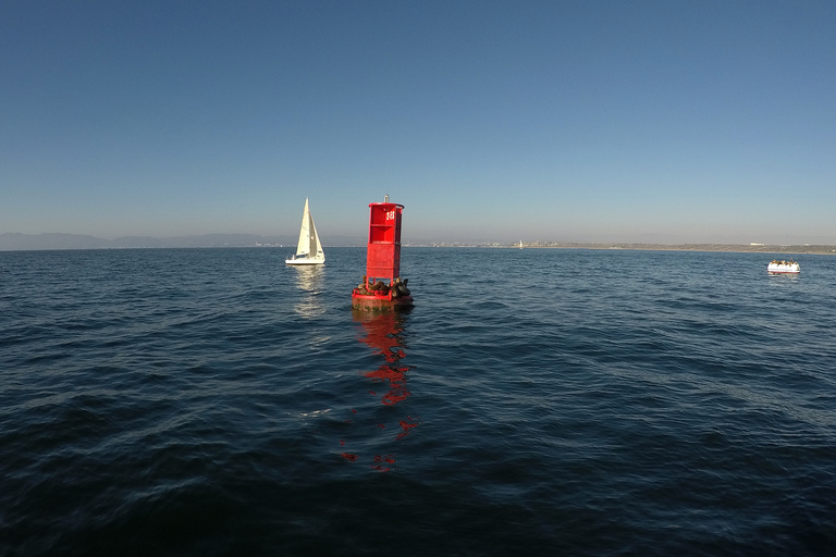 Marina Del Rey: 2 uur privé catamarantour door de jachthaven