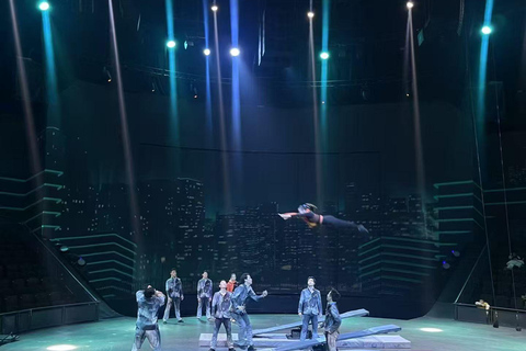 shanghai water village+ERA acrobatic show tour shanghai water village+ERA acrobatic show tour +A seat