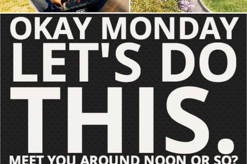 Kaapstad: Cool Running/Toboggan Adventure en ophaalservice vanaf je hotelKaapstad: Cool Running/Toboggan-avontuur en ophaalservice vanaf je hotel