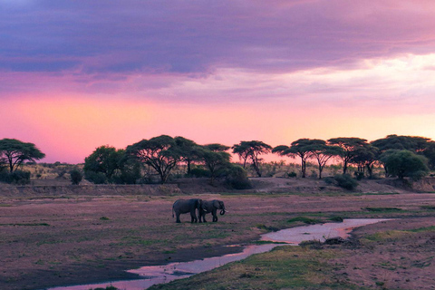 Zanzibar: 2-daagse safari naar het nationale park Tarangire