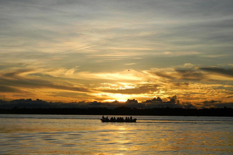 Iquitos 2 dagar Amazonfloden, nattvandring + apor