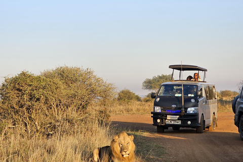 Nairobi Park Safari, Sheldrick's Orphanage & Giraffe Center Shared Drive in Open-Roof Van Game Drive