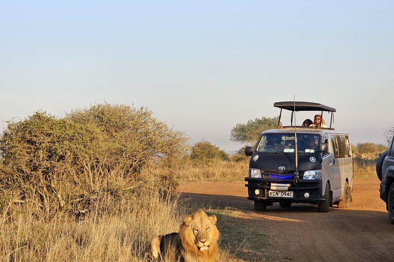 Nairobi Park Safari, Sheldrick's Orphanage & Giraffe Center Shared Drive in Open-Roof Van Game Drive