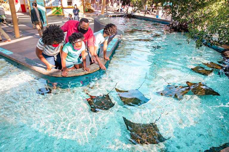 Acuario del Pacífico, LA: ticket sin colas en la taquilla