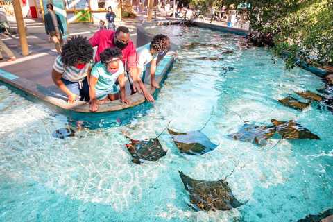 Stillehavets akvarium: Adgang med billet til køen