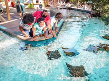 Aquarium of the Pacific: Ticket mit Einlass ohne Anstehen Aquarium of the Pacific: Ticket mit Einlass ohne Anstehen