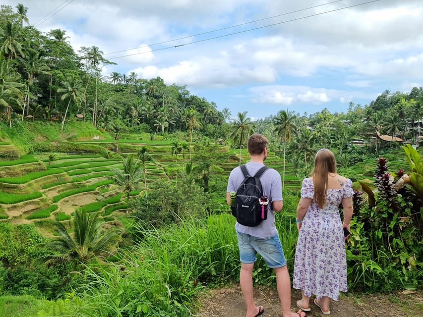 Tur Guide Bali Bali : Customizable Full Day Tour with Driver-Guide | GetYourGuide