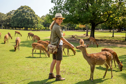 Osaka/Kyoto: Arashiyama, Nara Park & Fushimi Inari Day Tour Kyoto Departure: Private Sightseeing Tours
