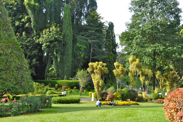 Tuk-Tuk Tales of Kandy: A Sensory City Tour with Local Guide A Sensory Kandy City Tour by Car Van with Local Guide