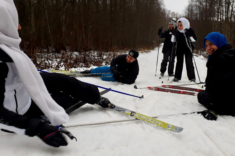 Tallinn: Cross-Country Skiing Experience