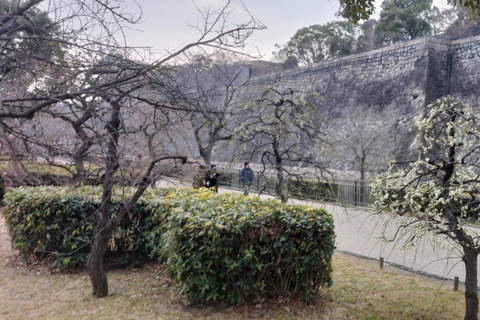 Osaka: Seven Millennia of History in 150 Minutes