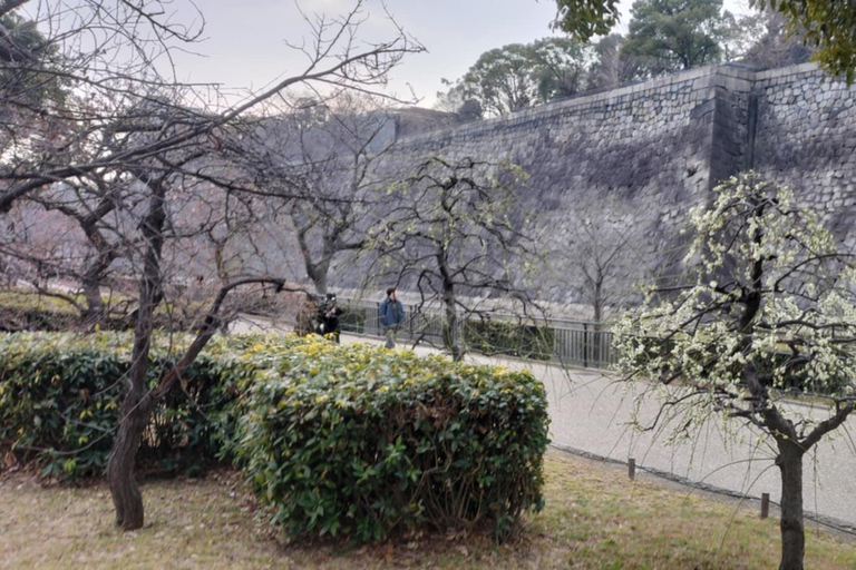 Osaka: Seven Millennia of History in 150 Minutes