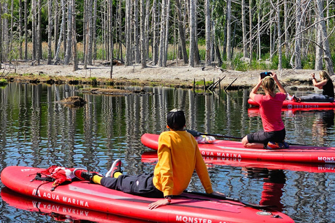 From Riga: Latvian jungle tour with paddle boardLatvian jungle