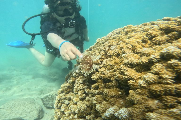 Honolulu : Tour d'initiation à la plongée sous-marine avec vidéos gratuites