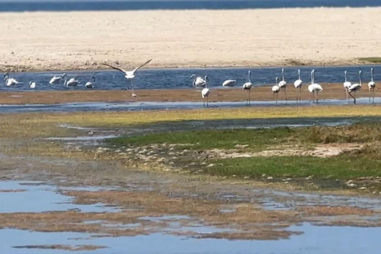 Private Tour Salalah City &amp; West of Salalah