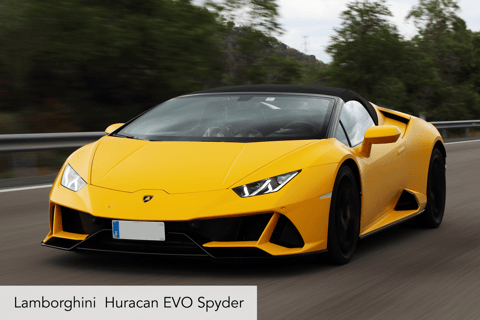 Ruta de medio día en supercoche a la montaña de MontserratPorsche 911 Carrera Coupé